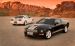 Shelby Shelby GT Widescreen Picture #8